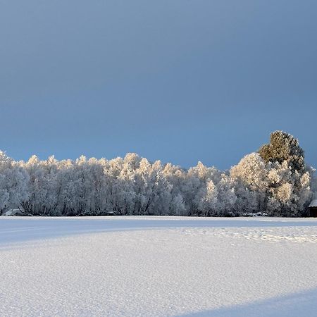 Escapade Norvegienne Διαμέρισμα Tolga Εξωτερικό φωτογραφία
