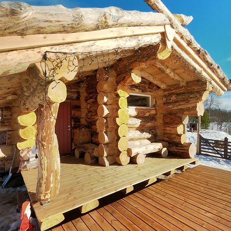 Escapade Norvegienne Διαμέρισμα Tolga Εξωτερικό φωτογραφία