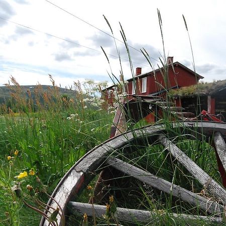 Escapade Norvegienne Διαμέρισμα Tolga Εξωτερικό φωτογραφία