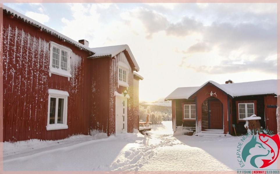 Escapade Norvegienne Διαμέρισμα Tolga Εξωτερικό φωτογραφία