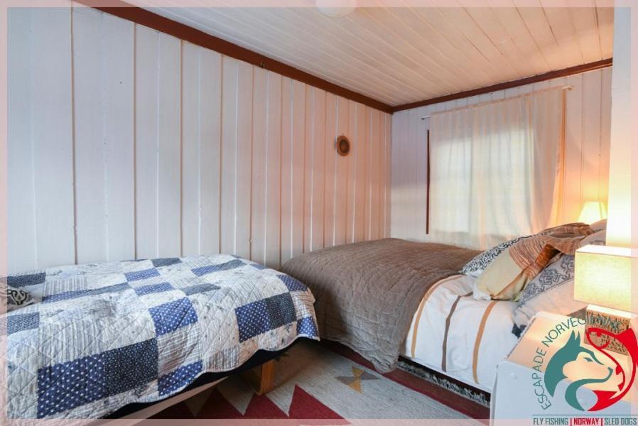 Escapade Norvegienne Διαμέρισμα Tolga Εξωτερικό φωτογραφία