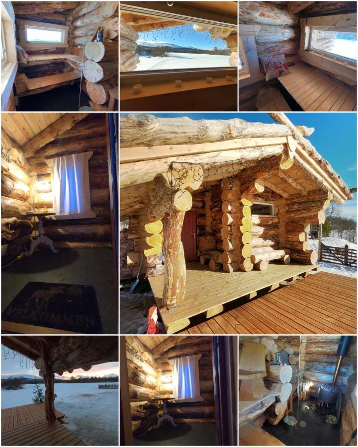 Escapade Norvegienne Διαμέρισμα Tolga Εξωτερικό φωτογραφία