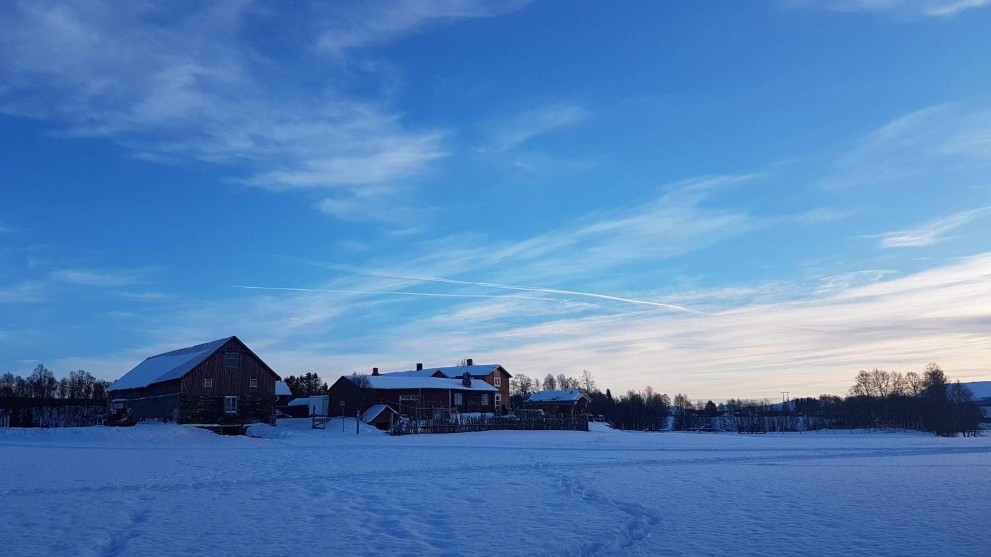 Escapade Norvegienne Διαμέρισμα Tolga Εξωτερικό φωτογραφία