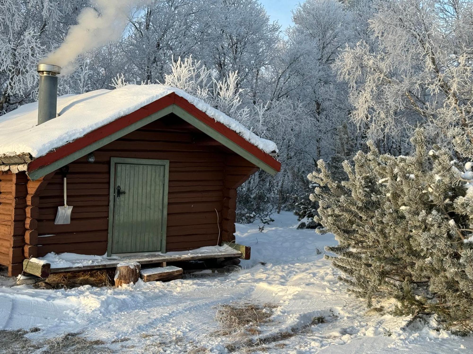 Escapade Norvegienne Διαμέρισμα Tolga Εξωτερικό φωτογραφία
