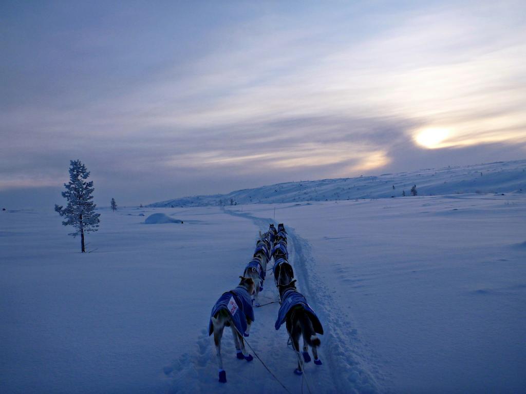 Escapade Norvegienne Διαμέρισμα Tolga Εξωτερικό φωτογραφία
