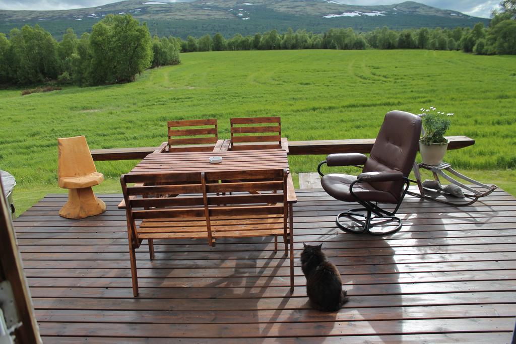 Escapade Norvegienne Διαμέρισμα Tolga Εξωτερικό φωτογραφία