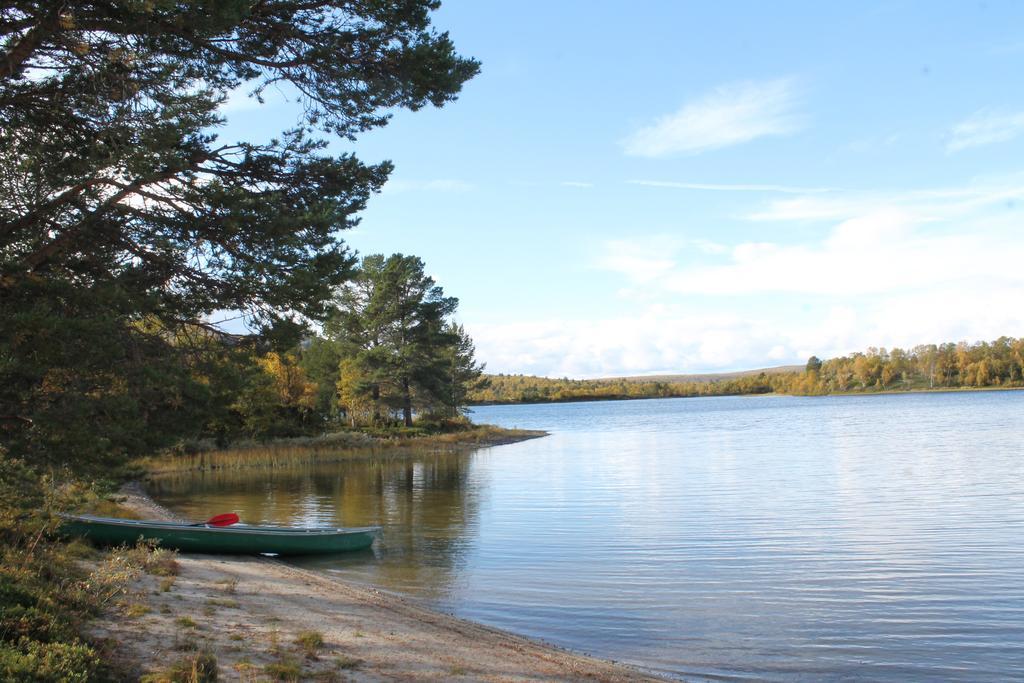 Escapade Norvegienne Διαμέρισμα Tolga Εξωτερικό φωτογραφία