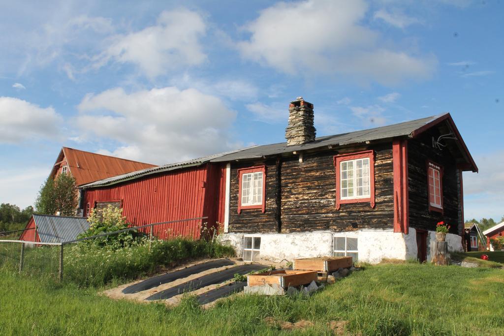 Escapade Norvegienne Διαμέρισμα Tolga Εξωτερικό φωτογραφία