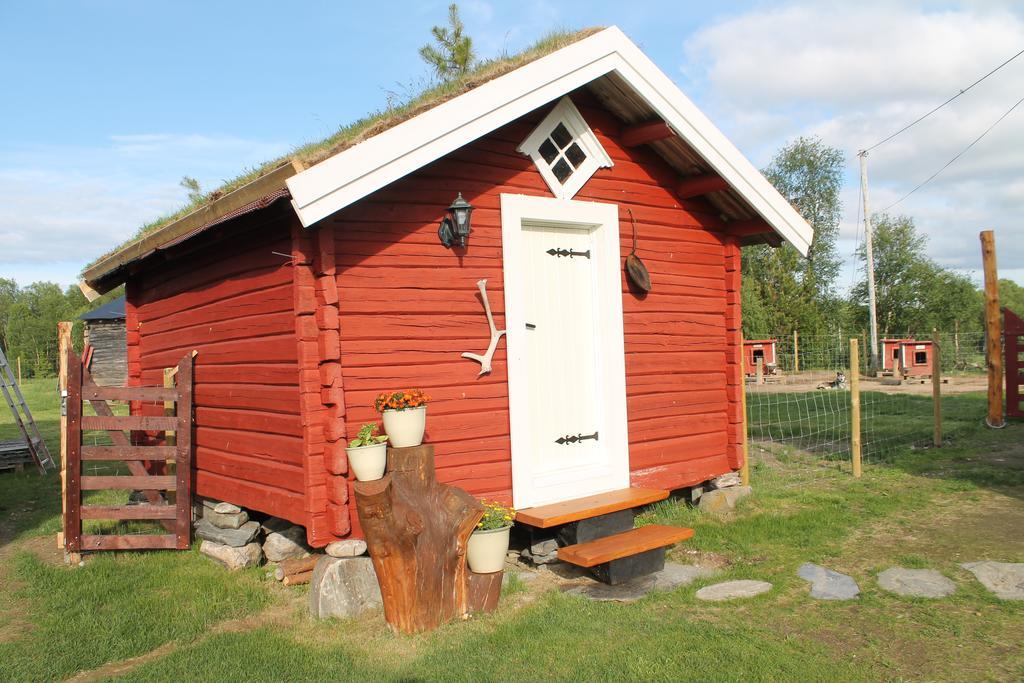 Escapade Norvegienne Διαμέρισμα Tolga Εξωτερικό φωτογραφία