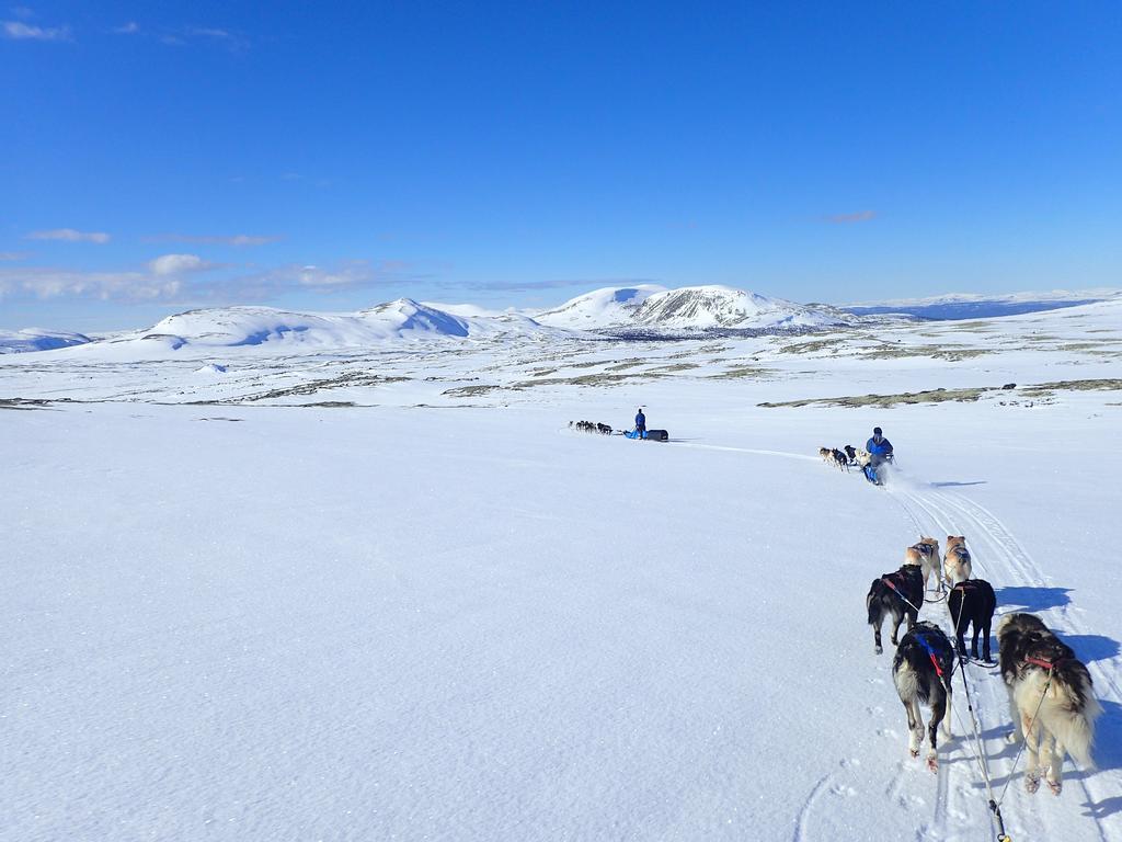 Escapade Norvegienne Διαμέρισμα Tolga Εξωτερικό φωτογραφία